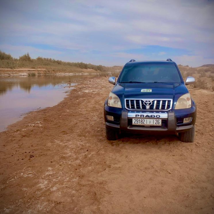 Отели 4*, Палатки