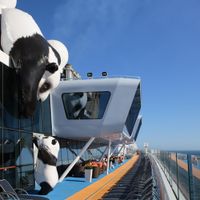 Ovation of The Seas (16/24)