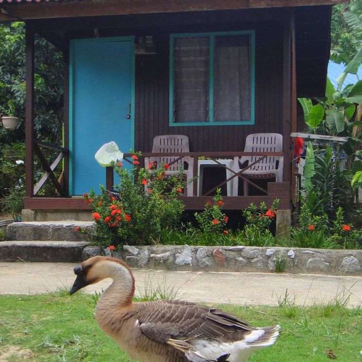 Отели 3*, Бунгало, Шале