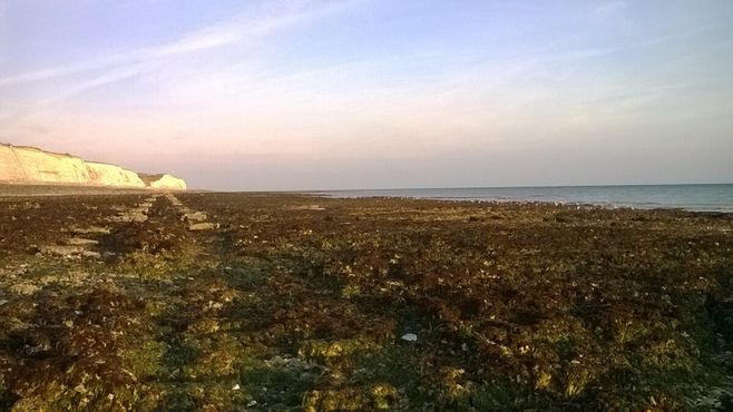 Бывшая Морская железная дорога