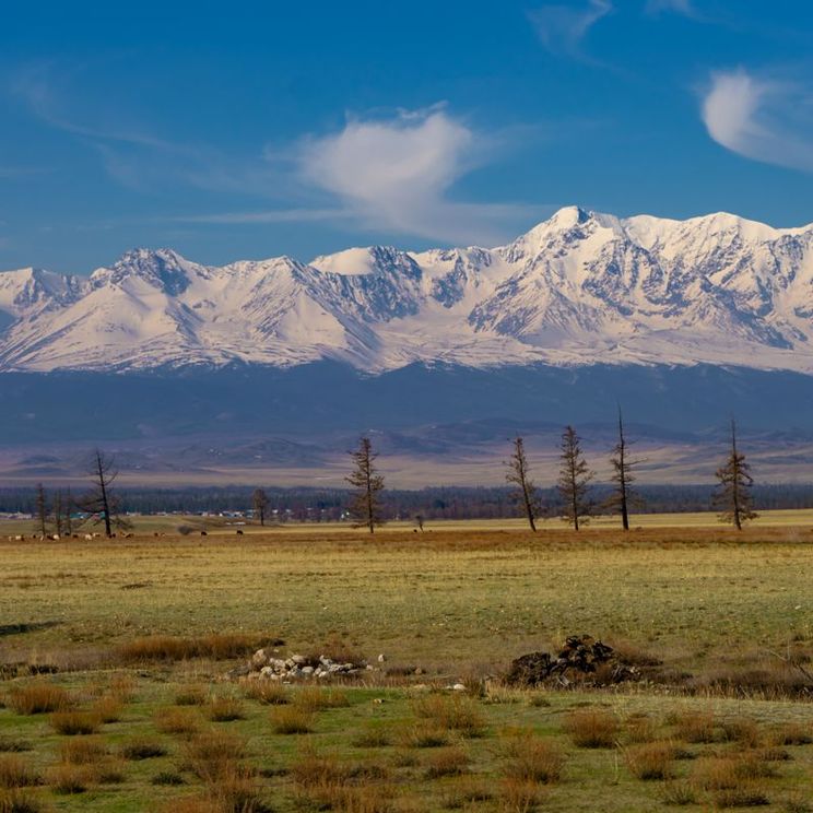 Гостевые домики, Коттедж