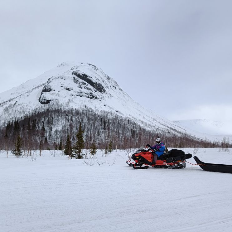 Гостевые домики