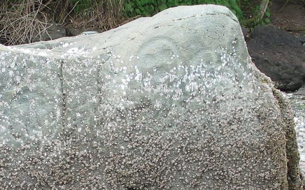 Петроглифы на скале Халиц