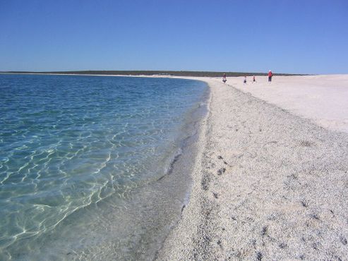 Идиллический пляж, полностью состоящий из ракушек