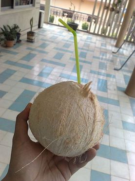 Этот кокосовый орех вырос не в Калифорнии