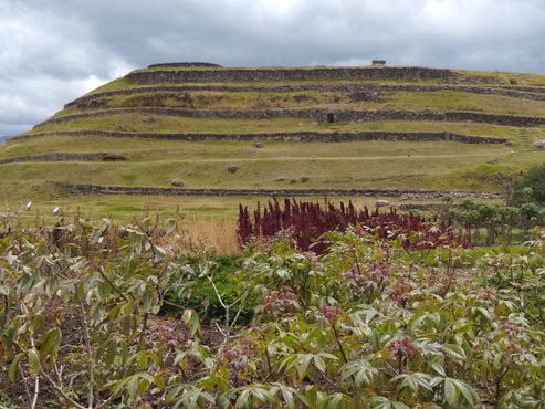 Сад с воссозданными террасами фермы инков