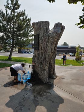 Здесь можно бесплатно наполнить бутылки родниковой водой