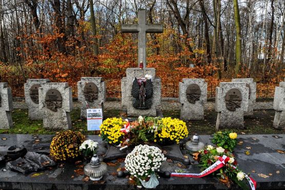 Мемориал павшим в сражении польским воинам 