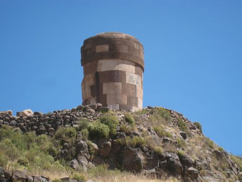 Чульпа