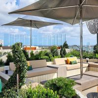 Celebrity Ascent (5/7)