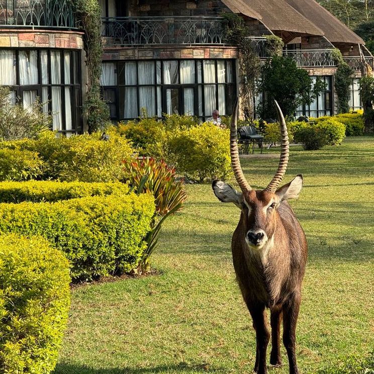 Отели 4*, Отели 5*, Лоджи