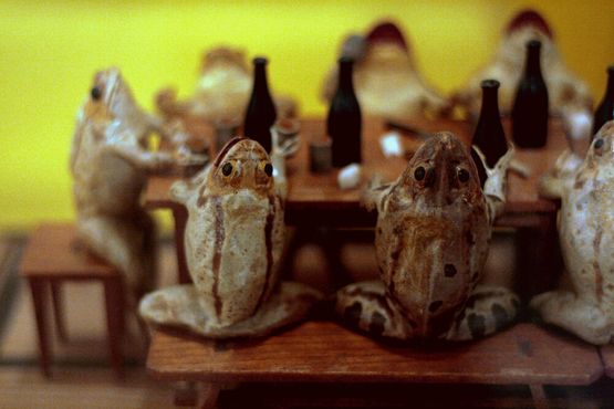 Музей лягушки