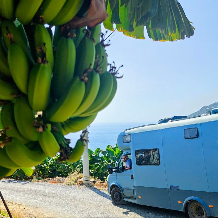 Дома на колесах