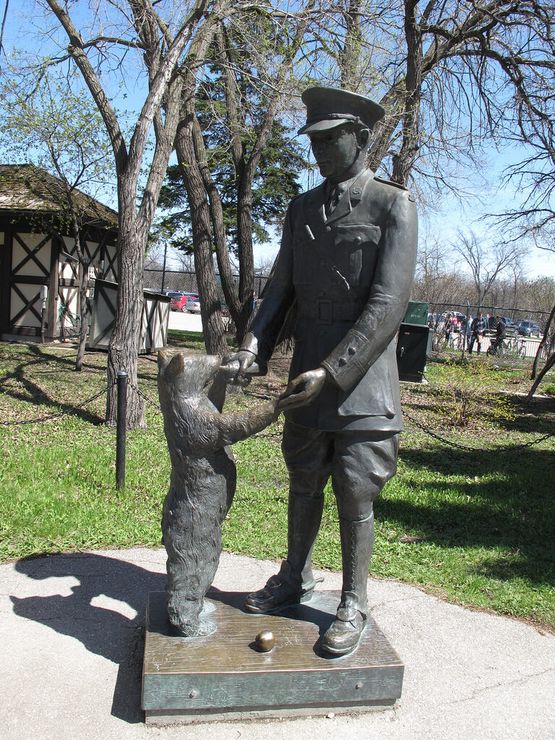 Памятник медведице винни в лондонском зоопарке фото