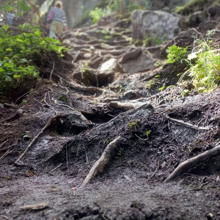 Глэмпинги, Отели 3*, Отели 4*, Юрты