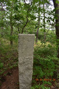 Кладбище чумного дома