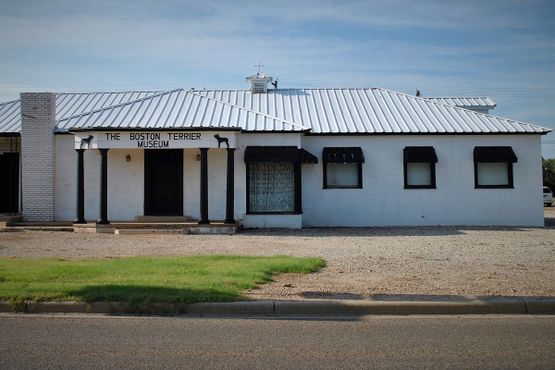 Музей бостон-терьеров
