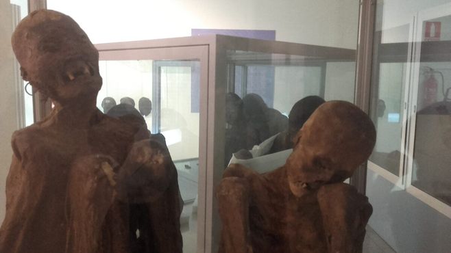 Андские мумии