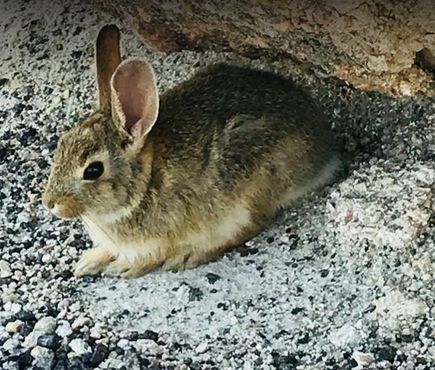 Парк «Пейнт Майнс», 2018 г.