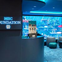 MSC World Europa (20/51)