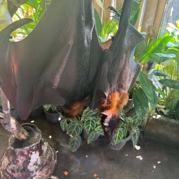 Отели 3*, Отели 4*, Отели 5*