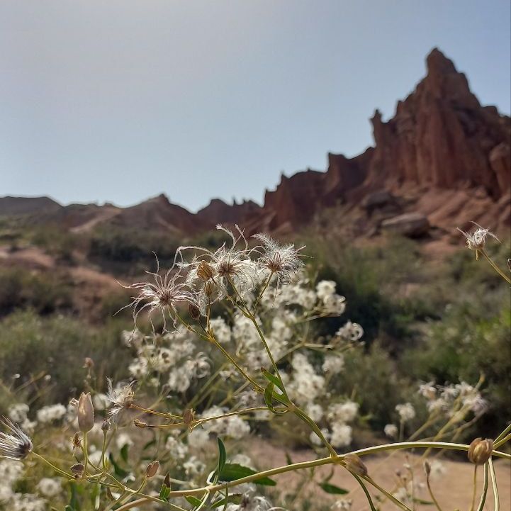 Глэмпинги, Отели 3*, Отели 4*, Юрты