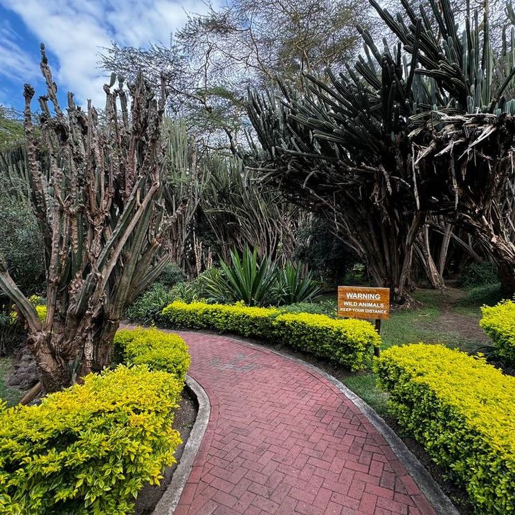 Отели 4*, Отели 5*, Лоджи