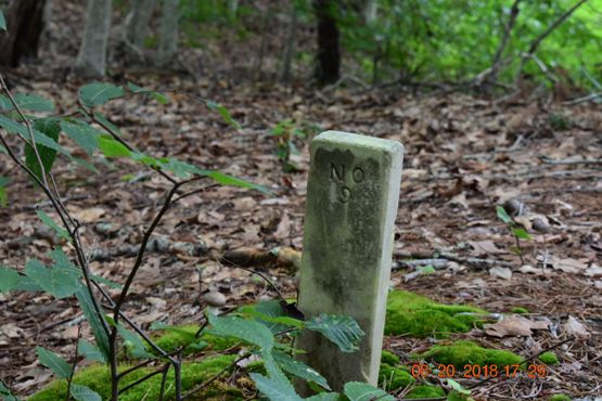 Кладбище чумного дома