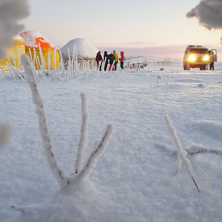 Гостевые домики, Юрты