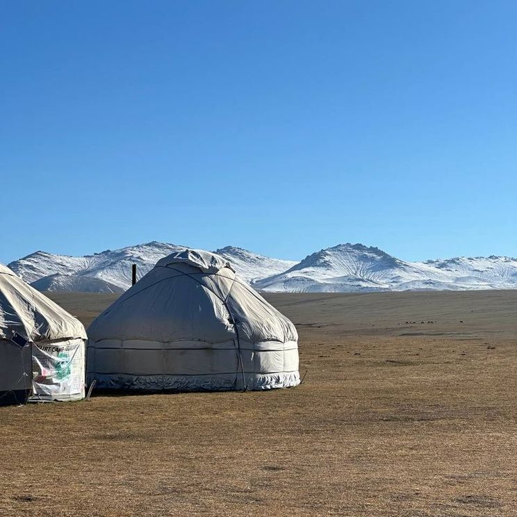 Гостевые домики, Юрты