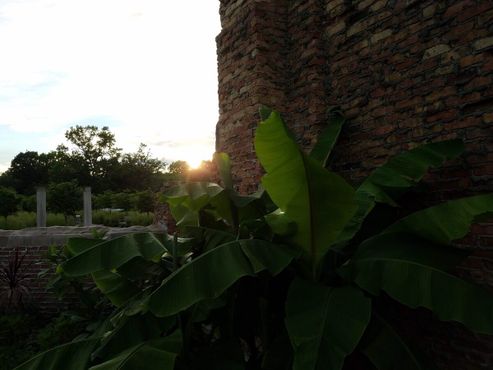 Руины в парке Холлидей