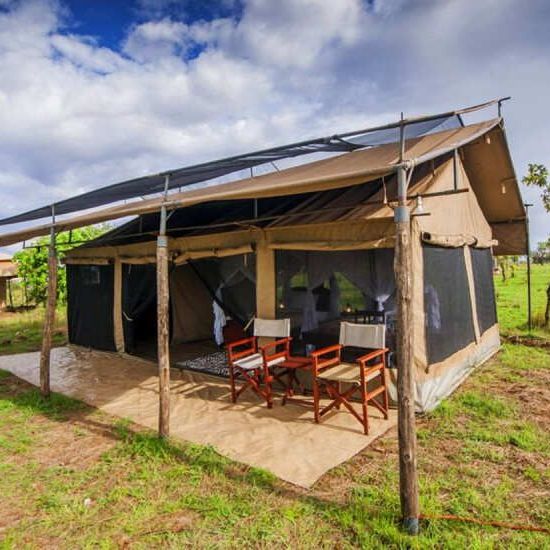 Домик, палатки