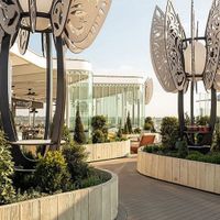 Celebrity Beyond (7/14)