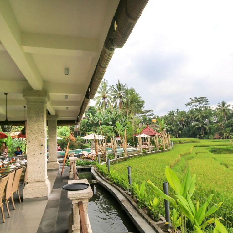 Отели 3*, Бутик-отели, Виллы