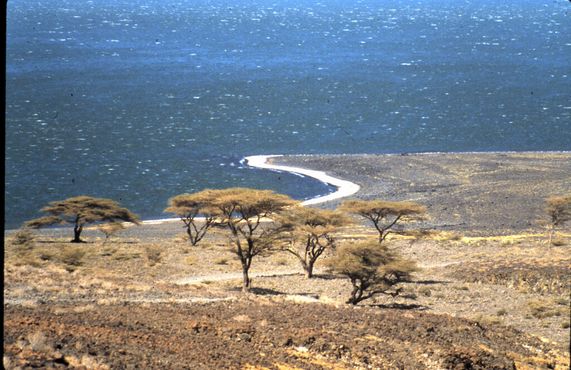 Озеро Туркана, Кения, 1987 год