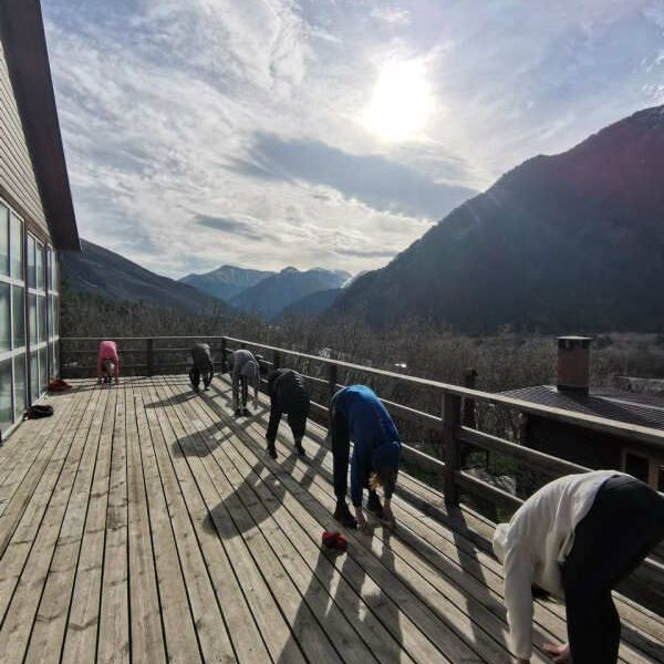 Гостевые домики