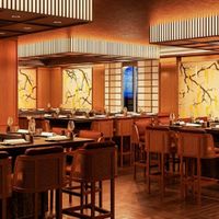 MSC World Europa (3/51)