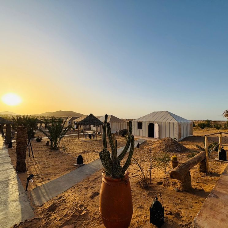 Отели 4*, Палатки