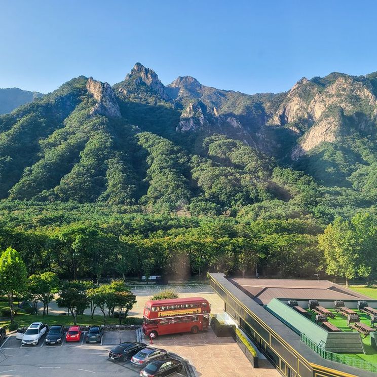 Отели 4*, Отели 5*