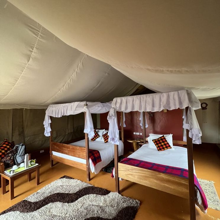 Кемпинги, Отели 4*, Лоджи