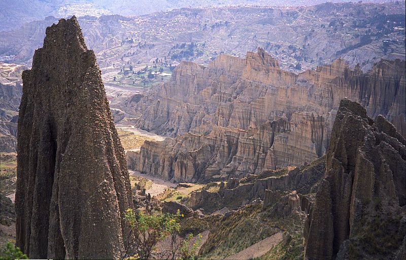 Пилея лунная долина фото