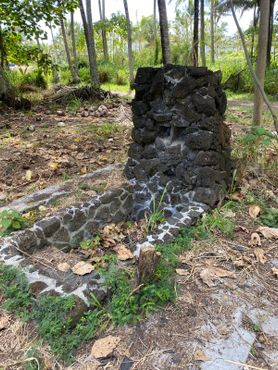 Отель «Коко-Палмс»