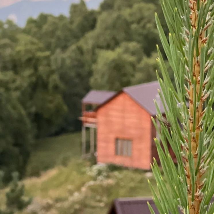 Гостевые домики