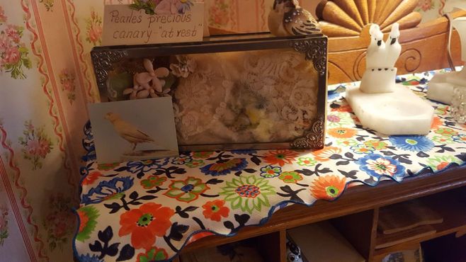 Канарейка Перл