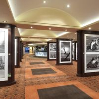 MSC Magnifica (14/33)