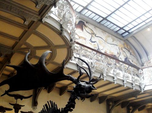 Галерея сравнительной анатомии и палеонтологии