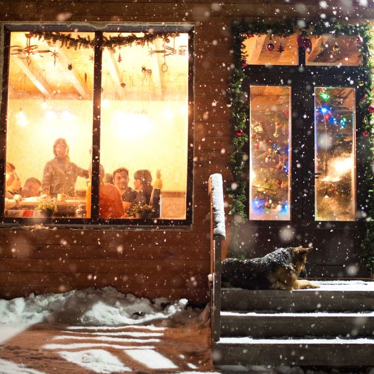 Гостевые домики