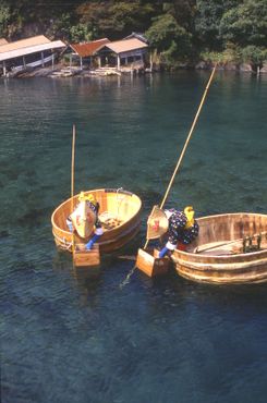 Женщины ловят рыбу с лодок тараи-бунэ