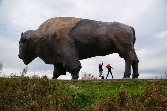 Самый
большой бизон в мире