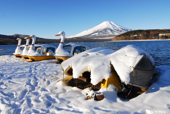 Лодки-лебеди выходят из воды зимой